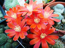 DSC00093