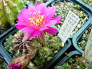 DSC00108