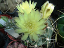 DSC00114
