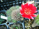 DSC00126
