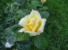 DSC03441