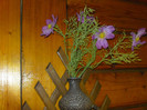 DSC00935