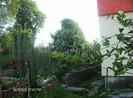floriiunie 2012 122