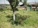 DSC05134