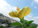 DSCN5287