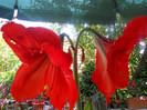 DSCN2721