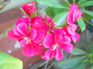 DSCN2728