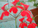 DSCN2729
