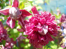 DSCN2738