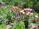 DSCN2741
