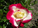 DSCF7508