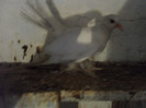 SAM_2810