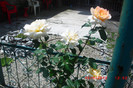 CIMG9729