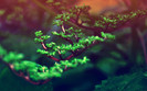 BestHDWallpapersPack599_77