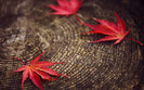 BestHDWallpapersPack599_87