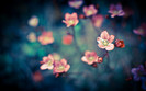 BestHDWallpapersPack599_93