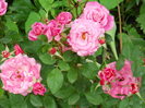 DSCN4095