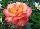 DSCN4048