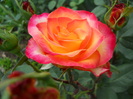 DSCN3983