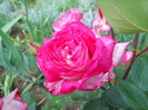 DSCN3989