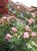 DSCN3990