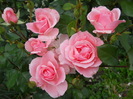 DSCN3993