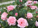 DSCN3995