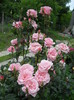 DSCN4080