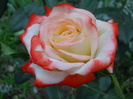 DSCN3996