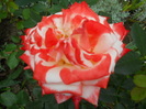DSCN3998