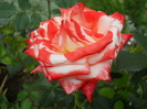 DSCN3999