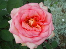 DSCN4002