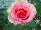 DSCN4073