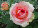 DSCN4074
