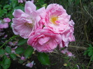 DSCN4019
