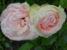 DSCN4039
