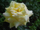 DSCN4052
