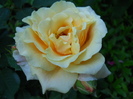 DSCN4042