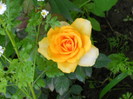 DSCN4053