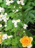 DSCN4055