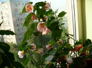 P1390700