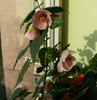 P1390702