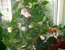 P1390704