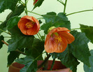 P1390737