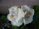 P1140626