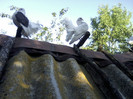 P07-06-12_19.02[1]