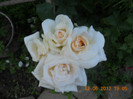 DSCN1393