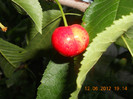 DSCN1412