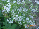 DSCN1439