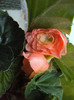 DSC06349